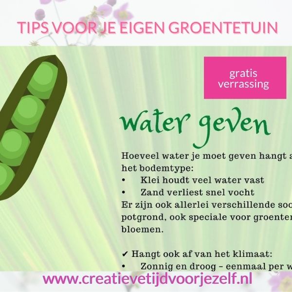 tips voor je eigen groentetuin