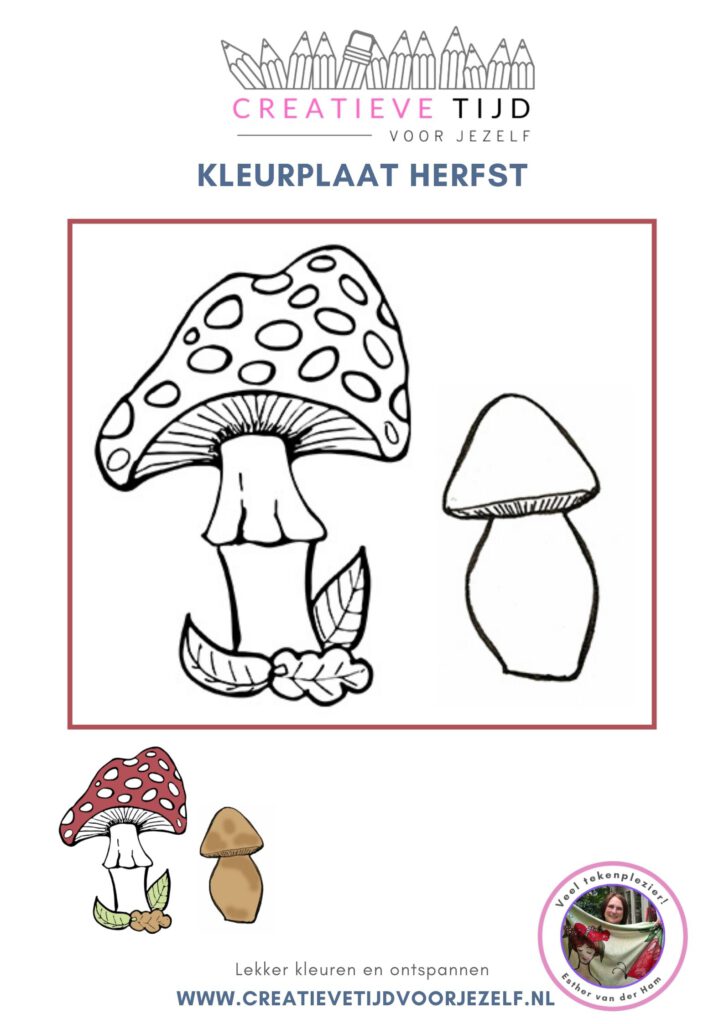 herfstkleurplaat