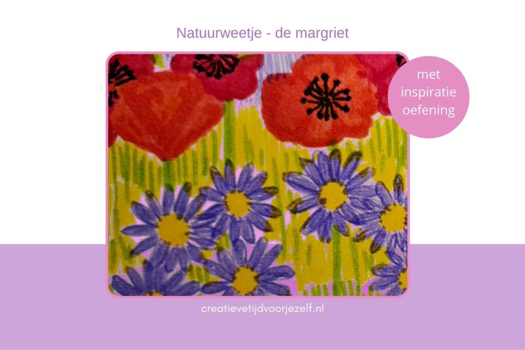 natuurweetje: de margriet. Met inspiratieoefening om zelf aan de slag te gaan