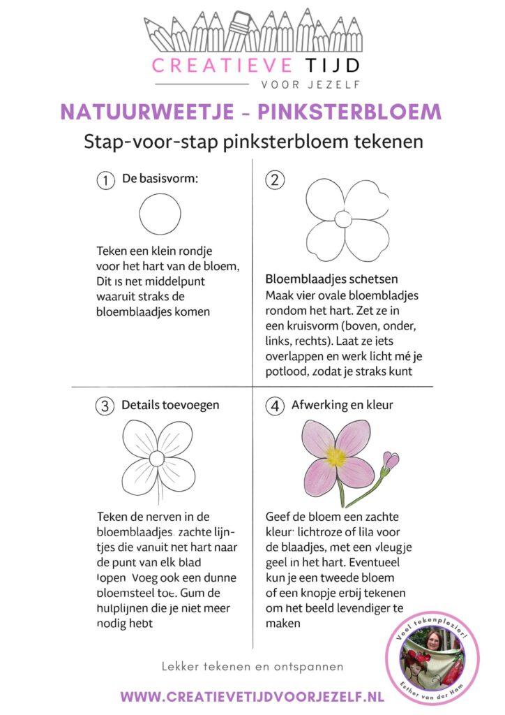 natuurweetje pinksterbloem. teken hem zelf