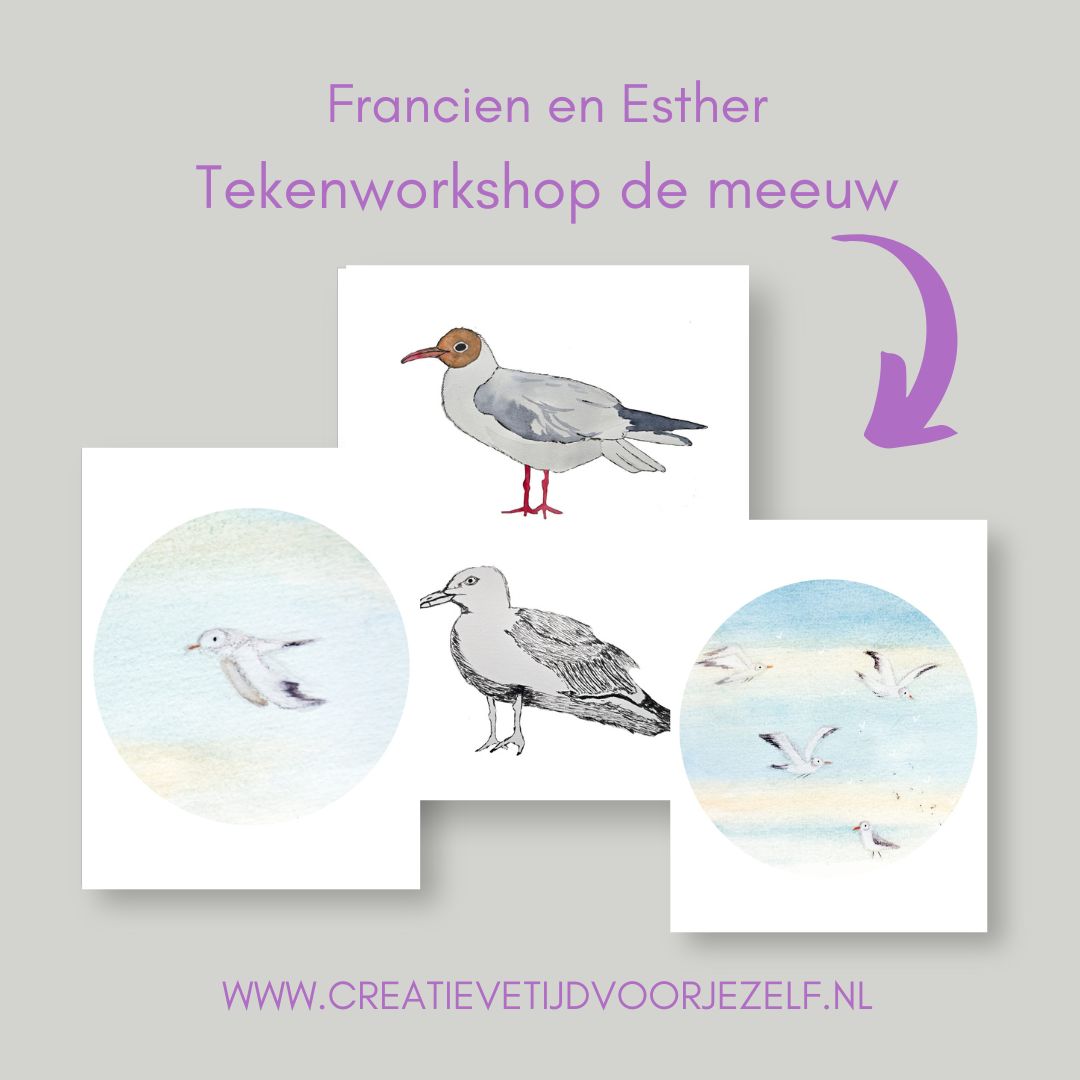 Tekenworkshop de meeuw